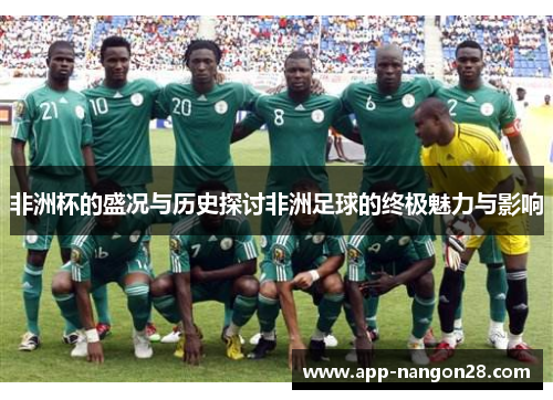 非洲杯的盛况与历史探讨非洲足球的终极魅力与影响