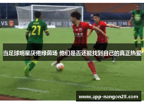 当足球明星厌倦绿茵场 他们是否还能找到自己的真正热爱