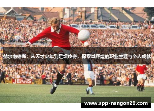赫尔南德斯：从天才少年到足坛传奇，探索其辉煌的职业生涯与个人成就
