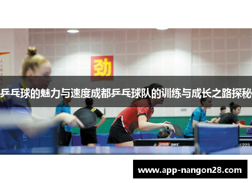 乒乓球的魅力与速度成都乒乓球队的训练与成长之路探秘