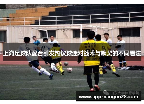 上海足球队配合引发热议球迷对战术与默契的不同看法